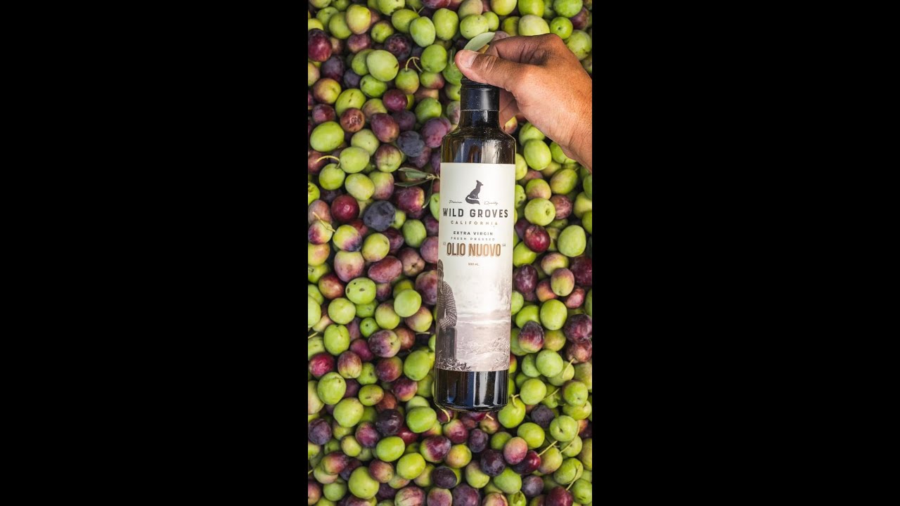 The first olive oil of the season, Olio Nuovo