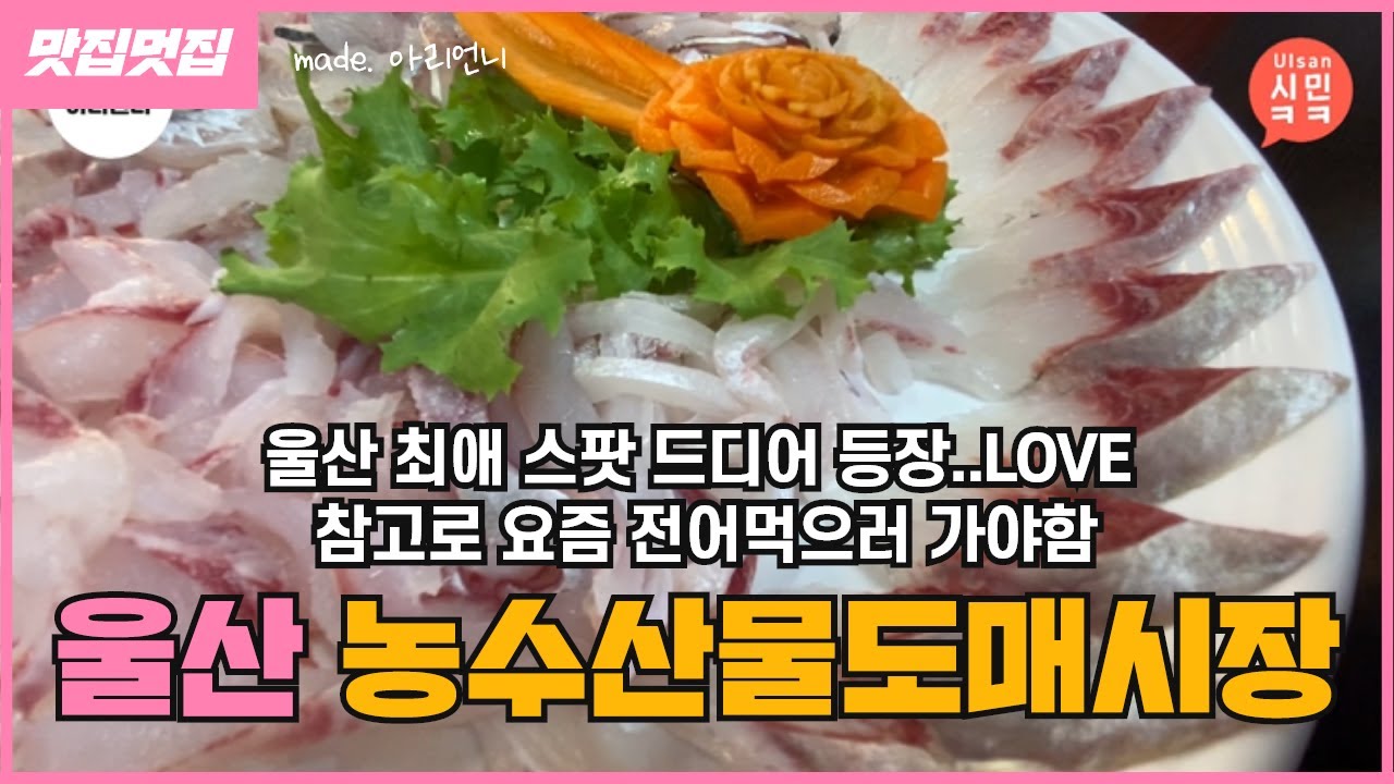 울산맛집 _농수산물도매시장 / 아리언니 / 울산먹방 / 울산여행 / 울뿌리