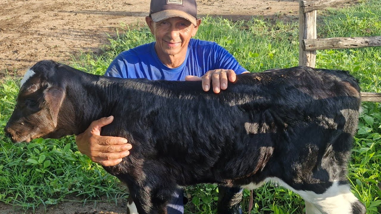 Mais uma Bezerra.