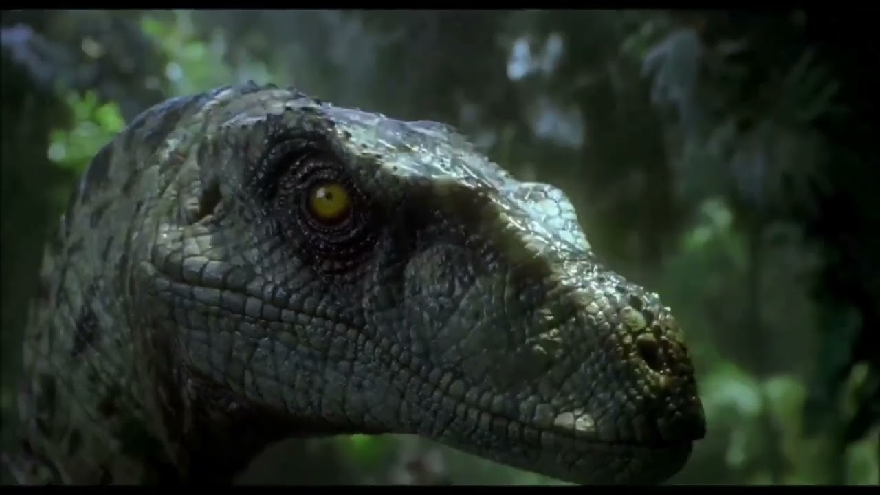 Dromaeosauridae Tribute - The Animal