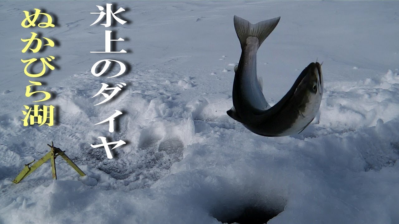 ★糠平湖の氷上釣り★　5ノ沢編　ワカサギ・サクラマス快釣！　めがね橋（アーチ橋）とキノコ氷が見える最高のロケーションで釣りを存分に楽しみます。（対象魚：サクラマス・アメマス）Ice Fishing