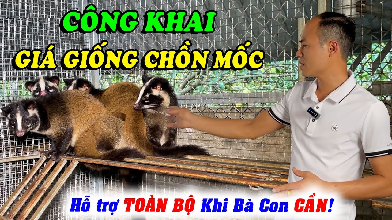 C&Ocirc;NG KHAI GI&Aacute; B&Aacute;N CHỒN MỐC GIỐNG MỚI NHẤT! TRANG TRẠI CAM KẾT HỖ TRỢ TO&Agrave;N BỘ KHI B&Agrave; CON CẦN | CNV