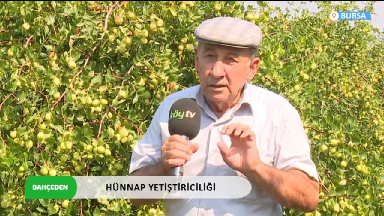 BAHÇEDEN HÜNNAP YETİŞTİRİCLİĞİ