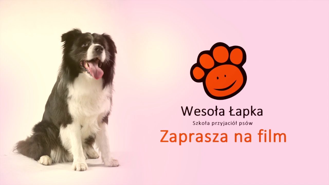 Coffee - agresja smyczowa. Jak poradzić sobie z problemem.