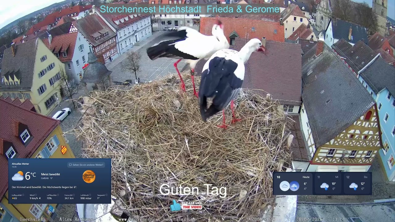 2026 02 10 Storchennest Höchstadt, Klapper Klapper, Guten Tag & Abend allen Storchenfreunden😀😀😀😀