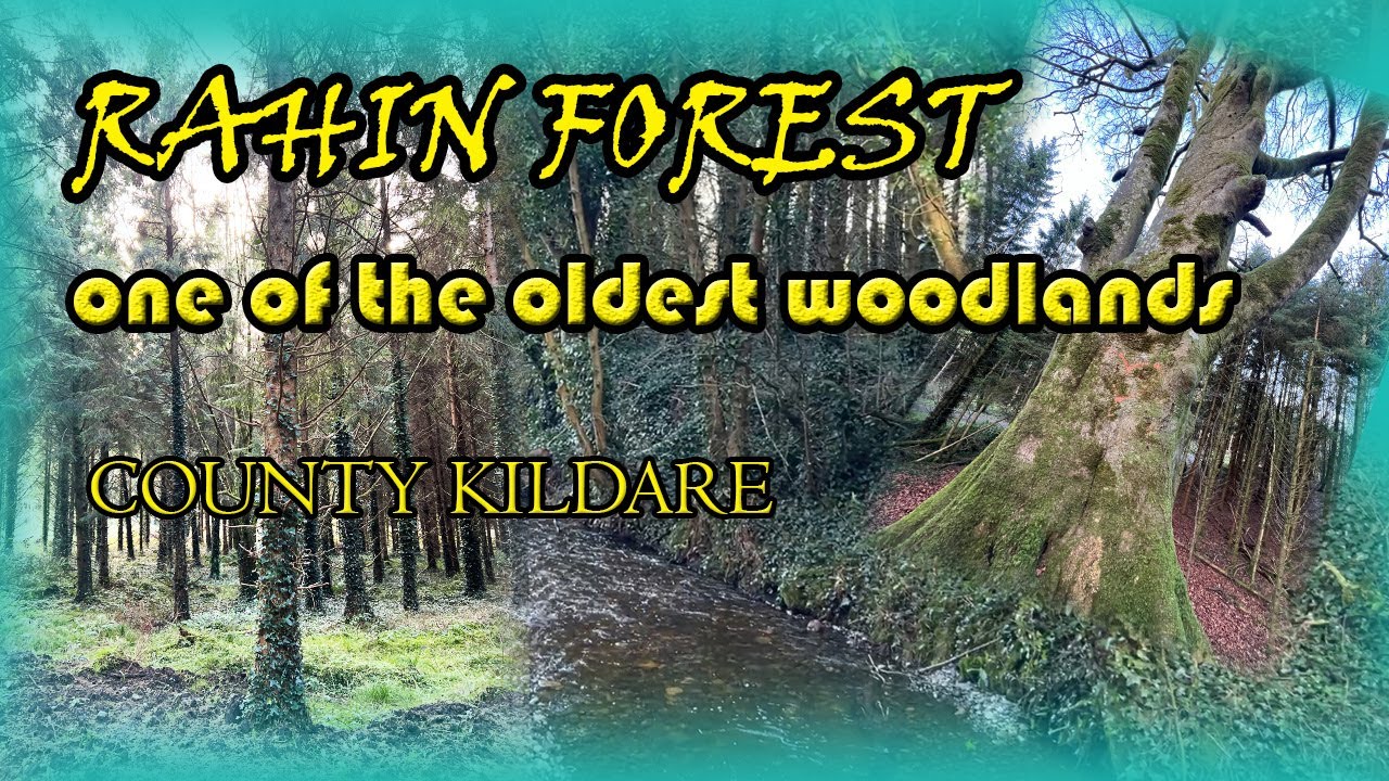 Rahin Forest, One of oldest Woodlands. Perfect for family walk