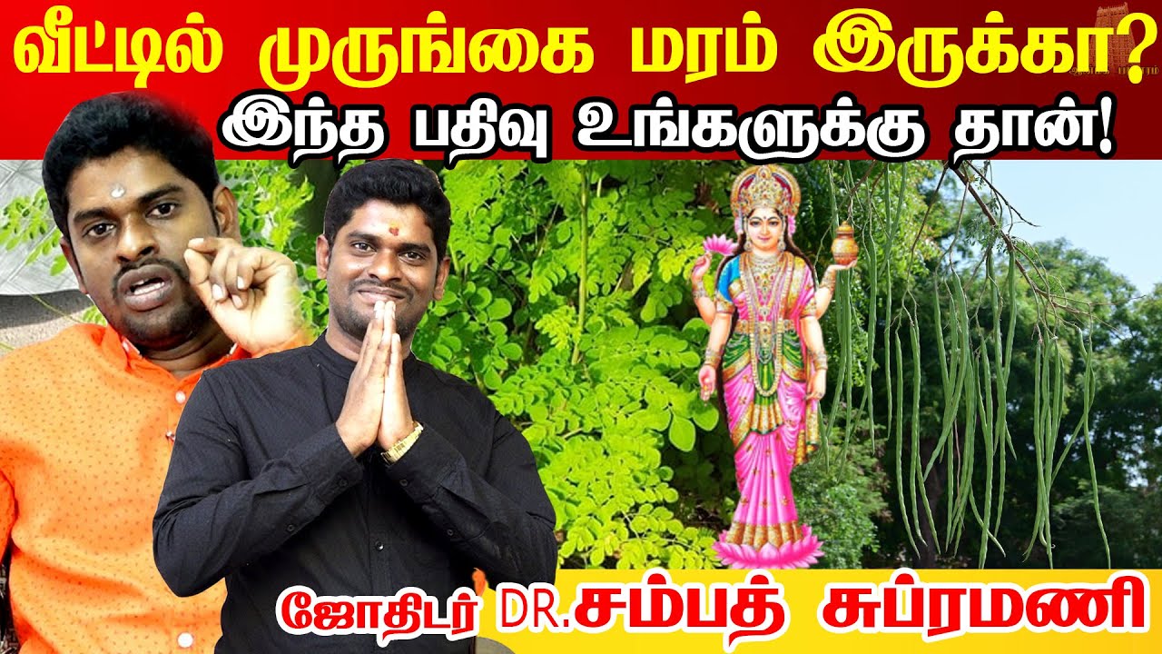 வீட்டு வாசலில் மரம் இருந்தா விபரீதமா? வாஸ்து ஆராய்ச்சியாளர் Dr. Sampath Subramani | vastu tips tamil