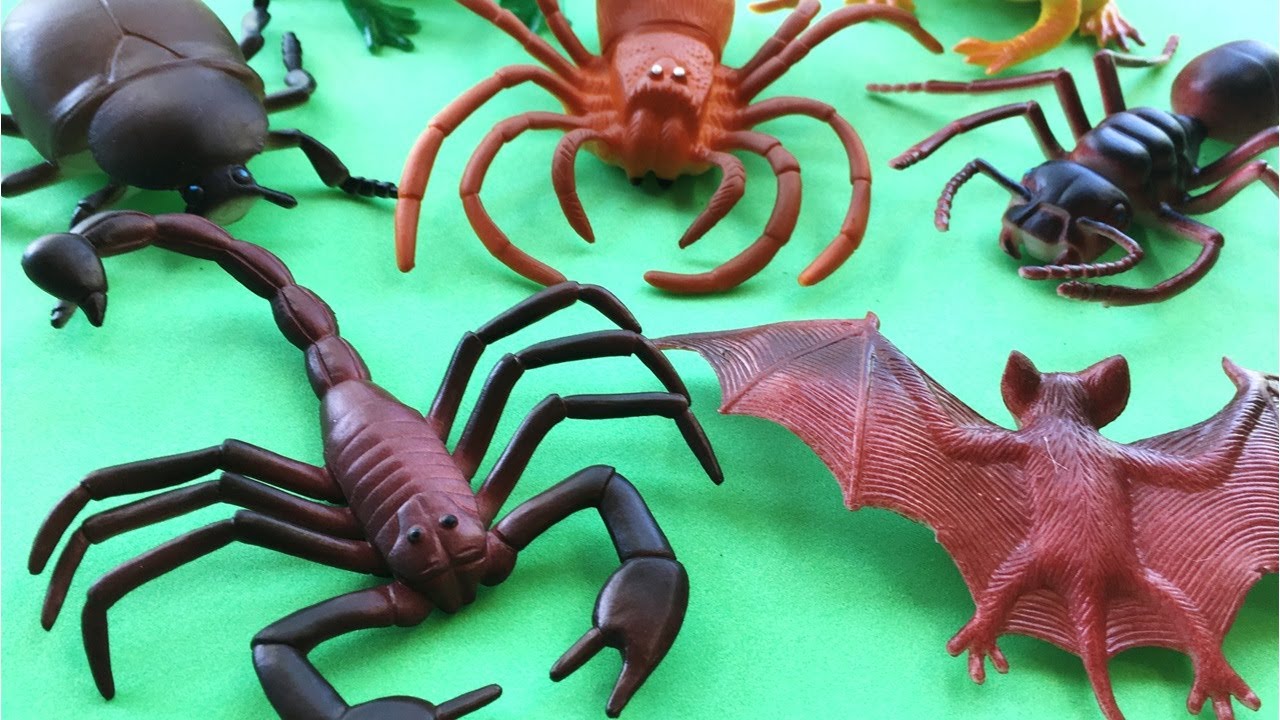 Insetos GIGANTES de Pl&aacute;stico &ndash; Escorpi&atilde;o Aranha Caranguejeira Besouro Morcego Formiga Sapo R&atilde;