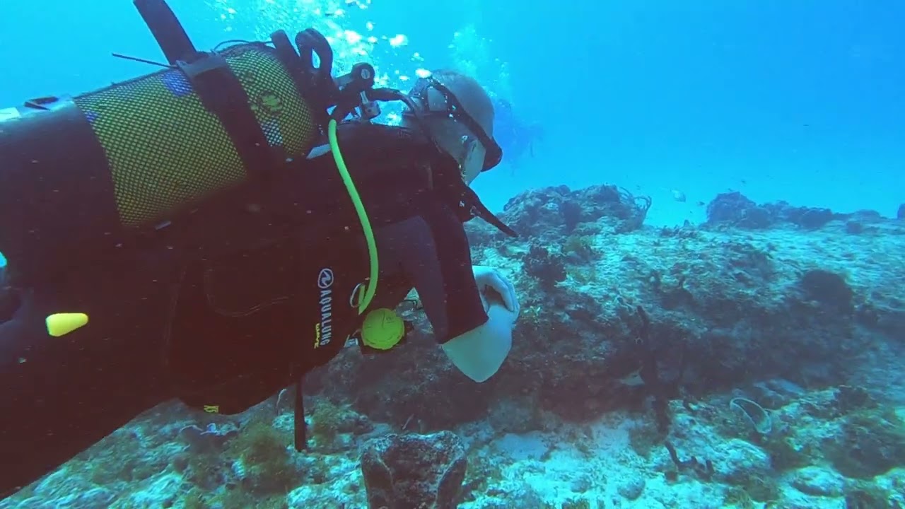 Plongée à Port-Louis avec SeacretDive