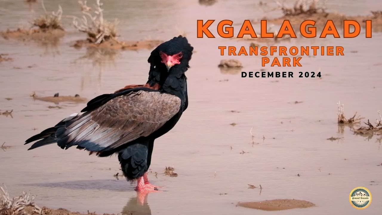 KGALAGADI DECEMBER 2024