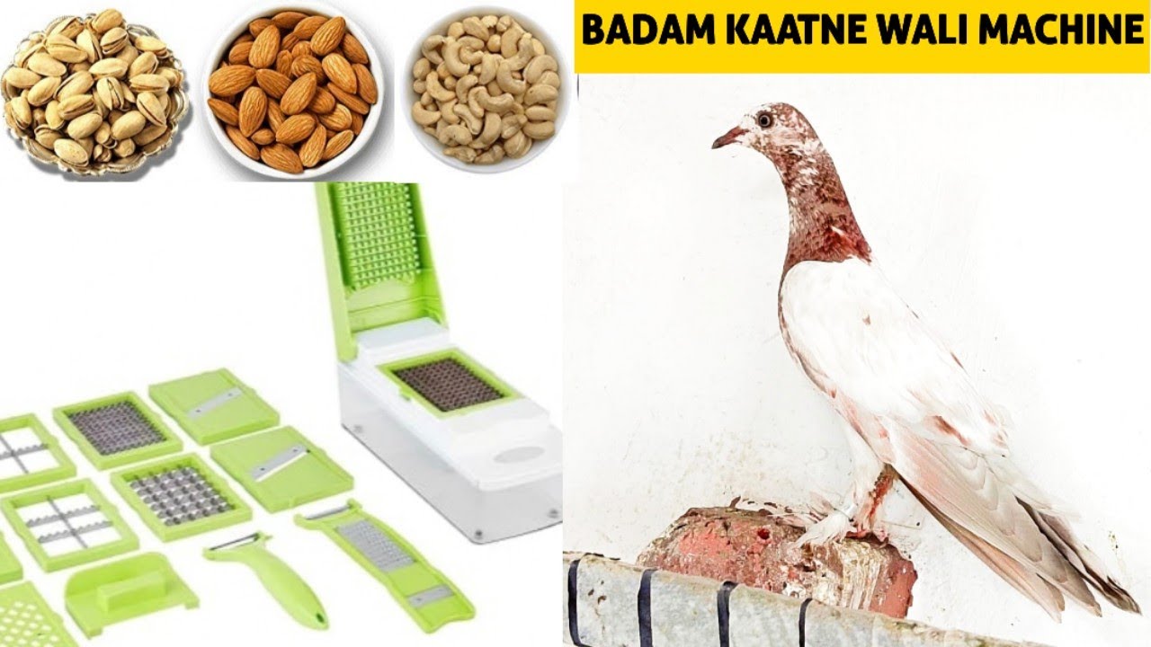 BAAZI TOURNAMENT WALE KABOOTAR KE LIYE BADAM KAATNE WALI MACHINE ||