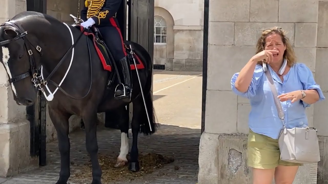 A special visit to Horse Guards — inclusive and welcoming 🤟🐎