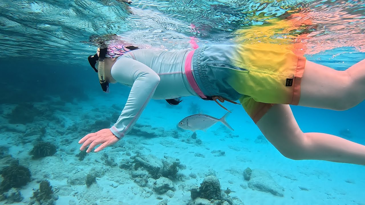 Bonaire - 7 Day Itinerary, May 2024