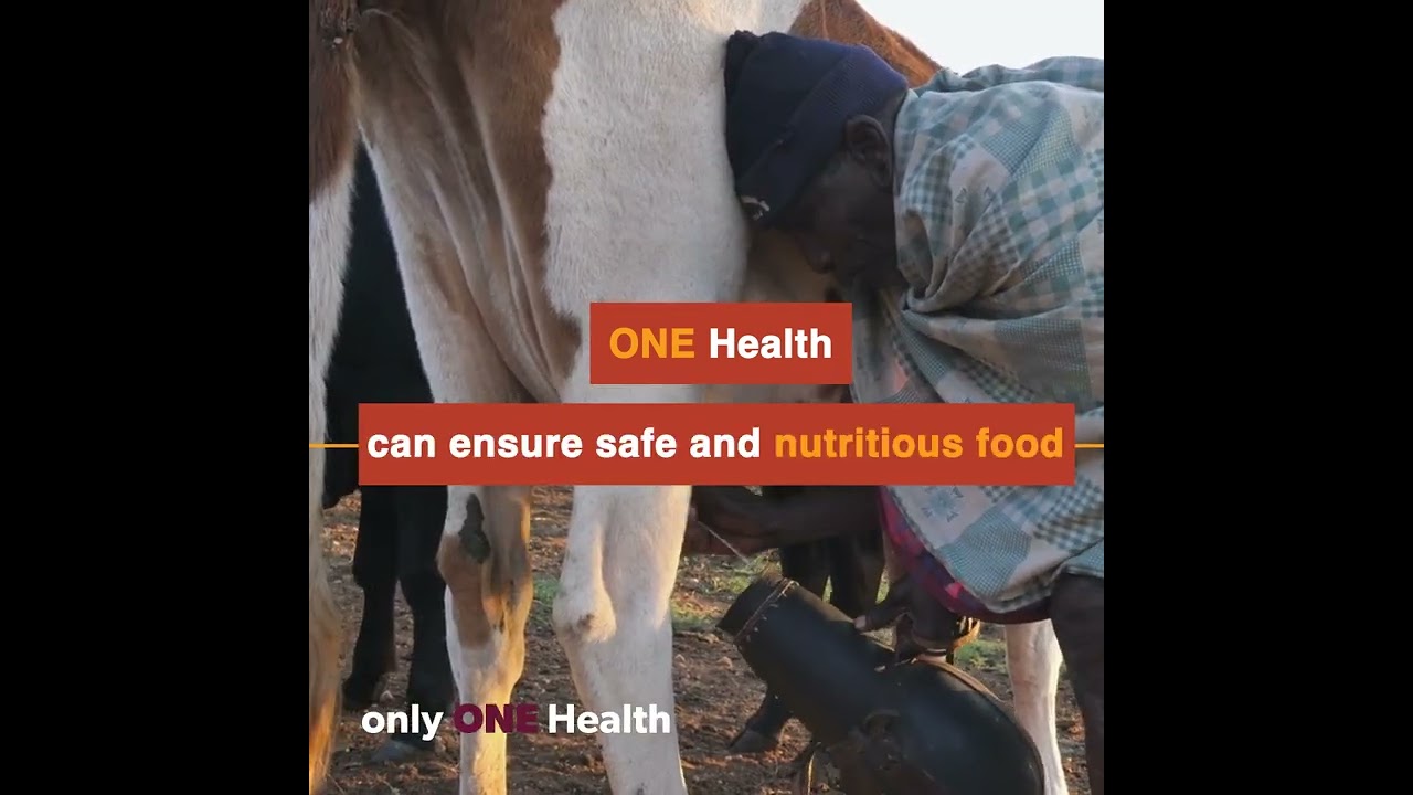 Only ONE Health