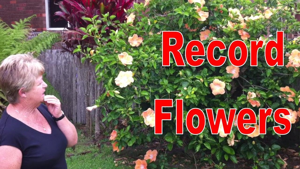 How to STIMULATE NEW GROWTH & Achieve RECORD FLOWERS... using Unknown Growth Factor
