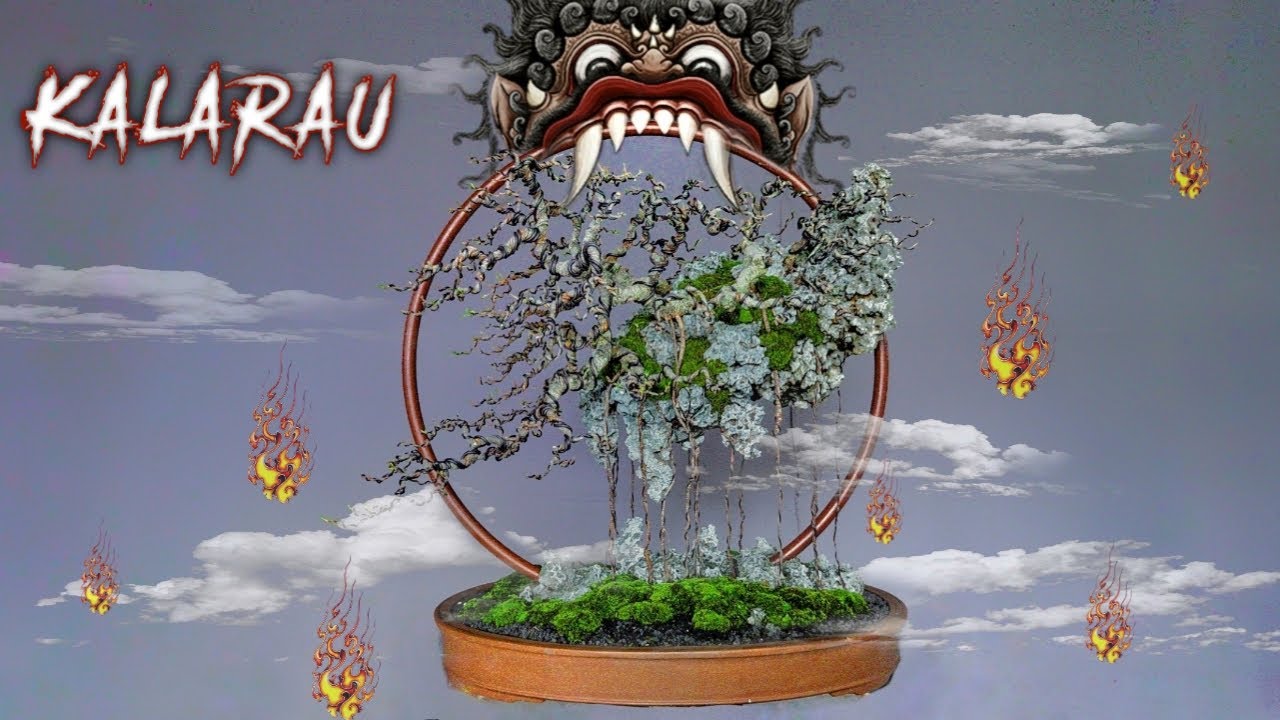 (SANG KALARAU) proses bonsai surrealis dari bahan Kimeng.