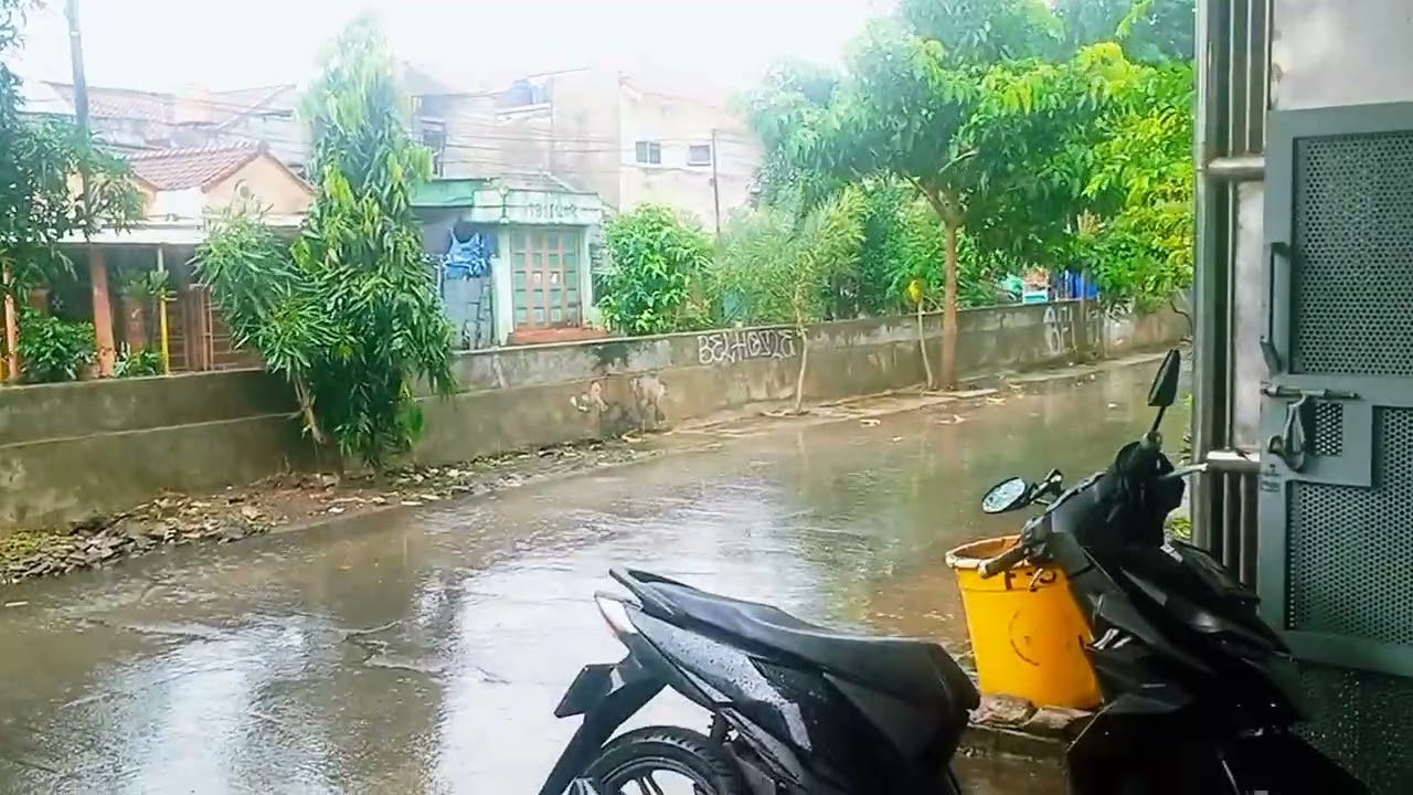 RESCUE MATIC BET FULL RESTORASI