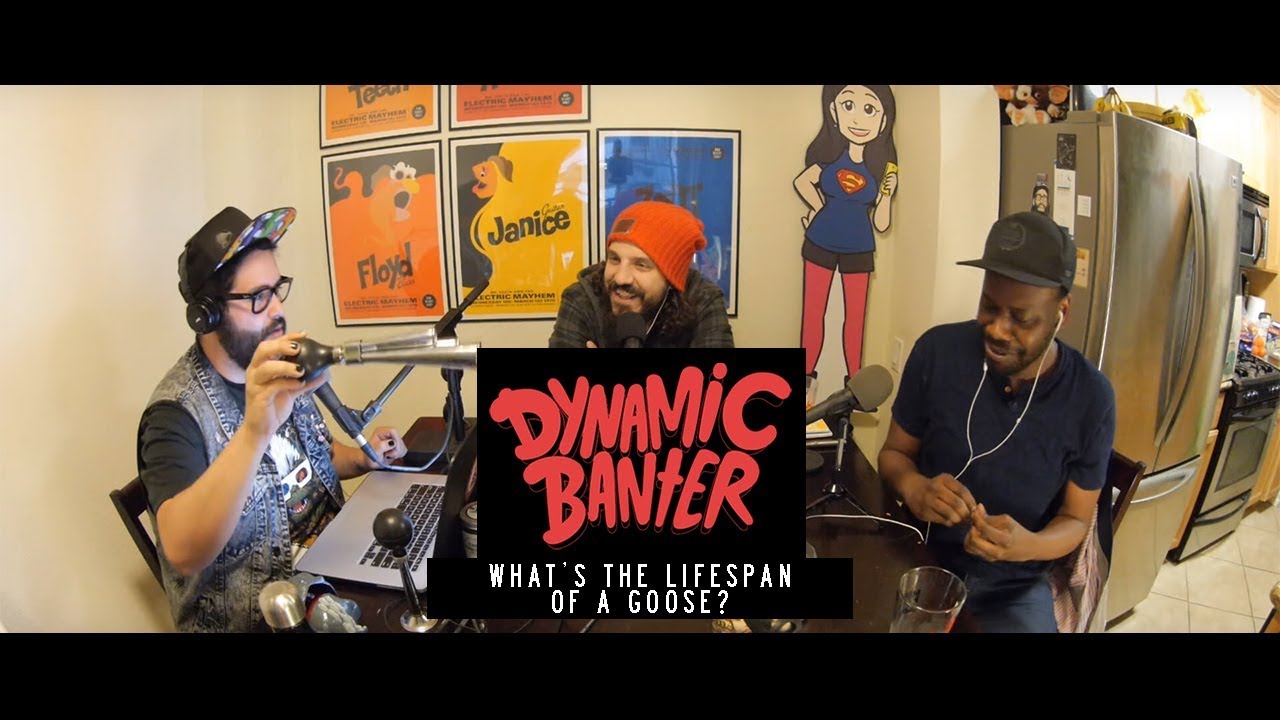 What's the Lifespan of a Goose? - Dynamic Banter Podcast w/ Malcolm Barrett