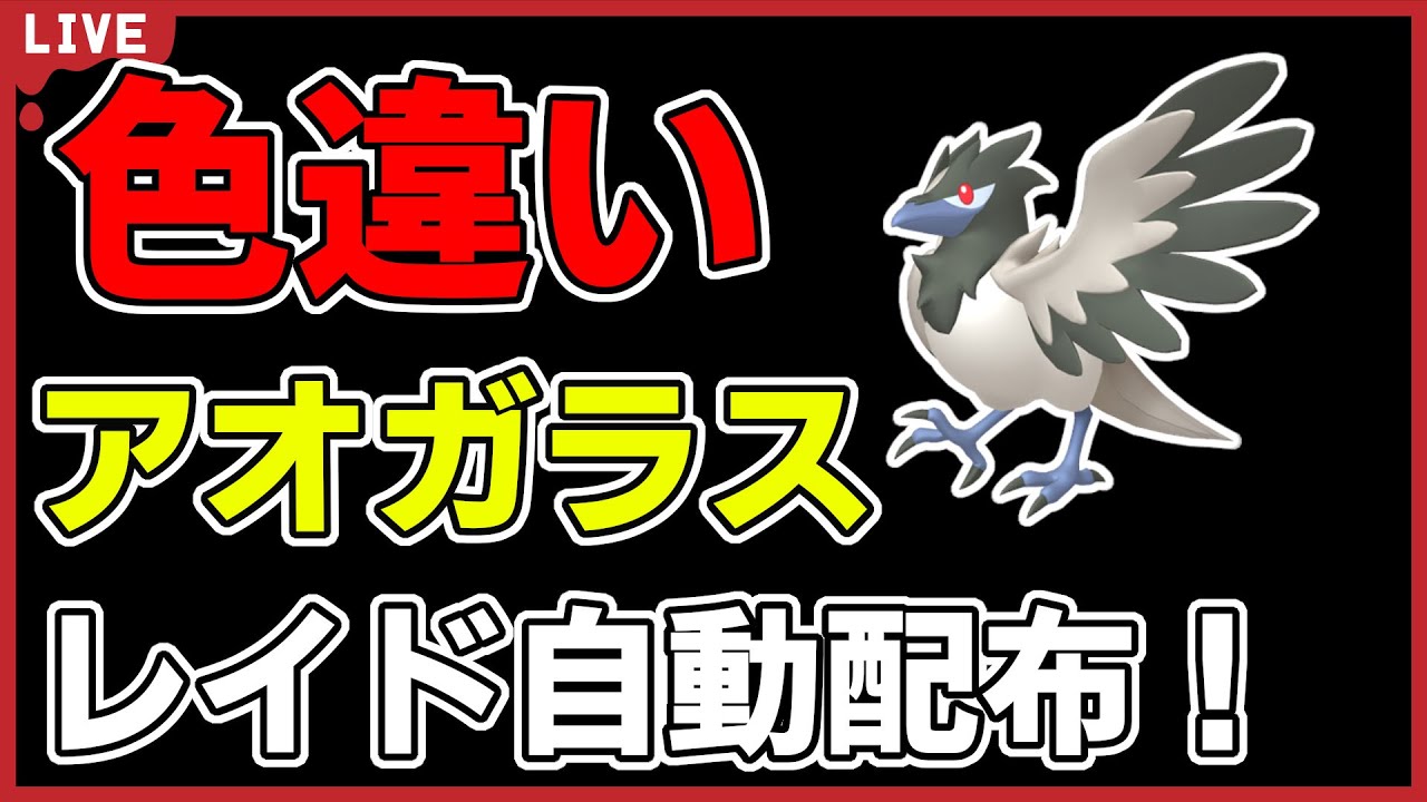 【ワンパン最速】色違いアオガラスレイド自動配布！【ポケモンSV】