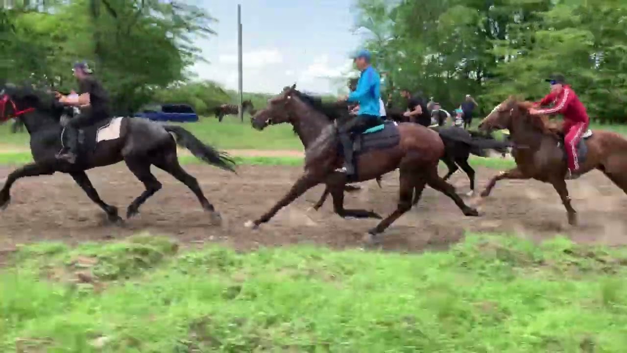 Кубок Кавказа 2023 1 этап🏇