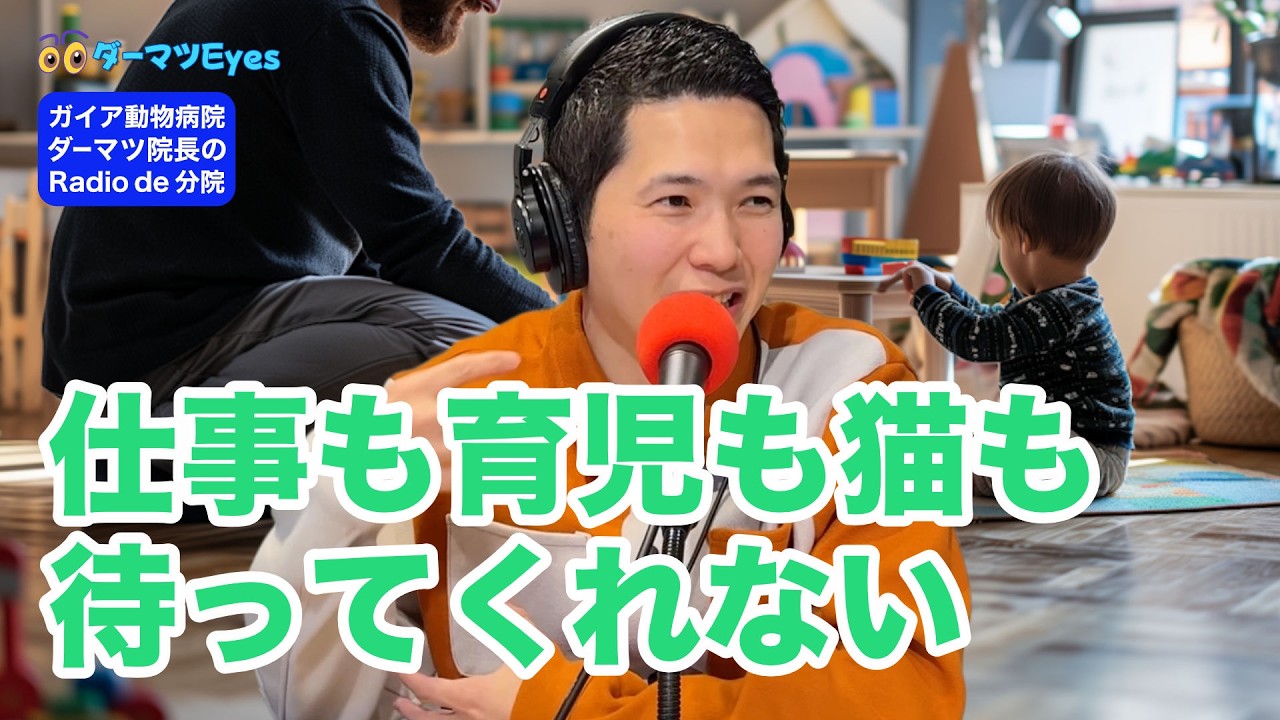 #78【ダーマツEyes】仕事も育児も猫も待ってくれない