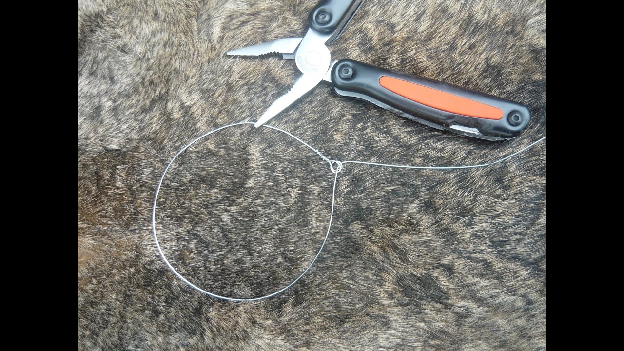 le collet à lièvre et lapin