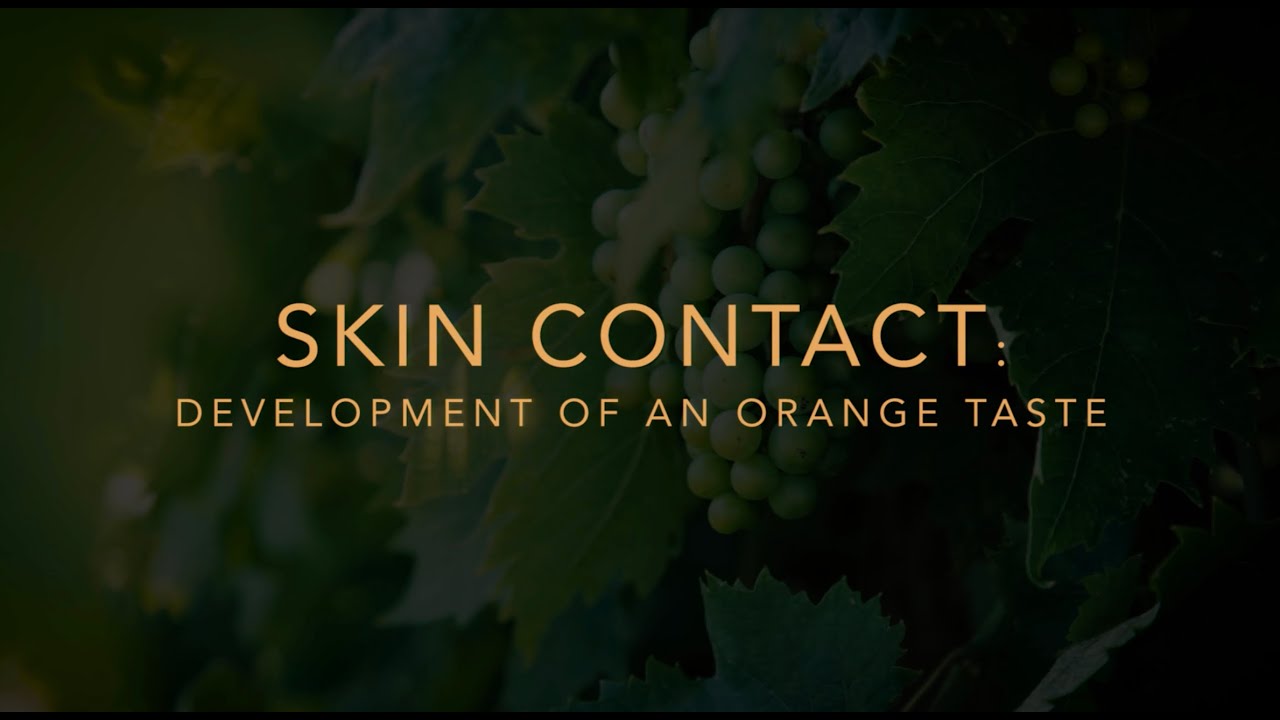 Skin Contact: Development of an Orange Taste (Full Documentary HD)
