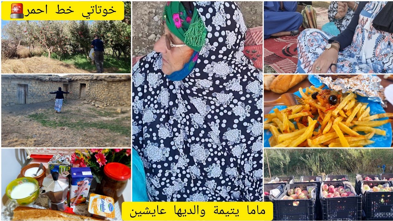 اخيرا ماما شافت امها بعد مدة😔عاشت محرومة.خوتاتي خط احمر🤚🚨عرضة هكذا عشت في الدوار والطبيعة💯