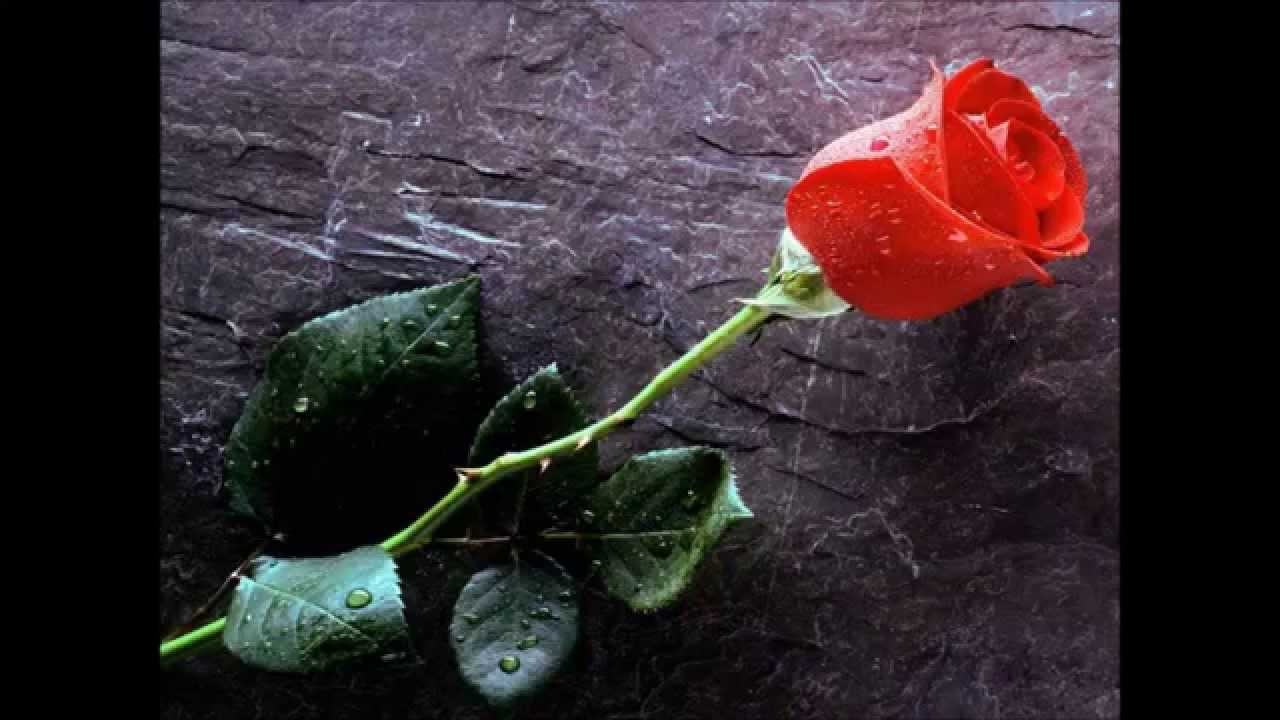 SOLDADOS DEL AMOR. MIX DIRECTO A TU CORAZON