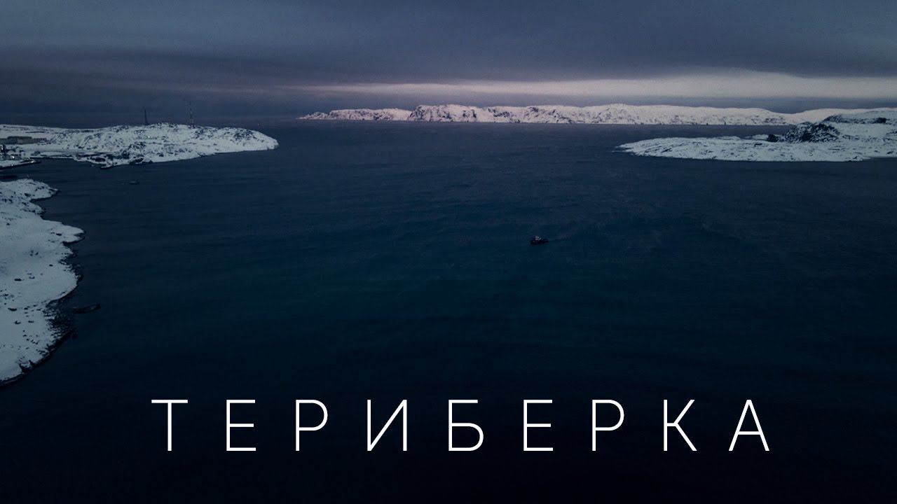 Киты и северное сияние на Териберке