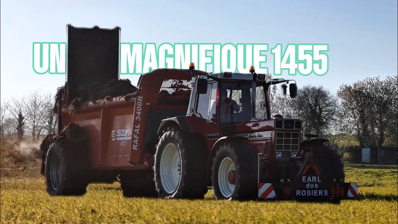 YOUNGTIMER | ÉPANDAGE DE FUMIER AVEC LE MAGNIFIQUE INTERNATIONAL 1455 DE YVAN !🤩