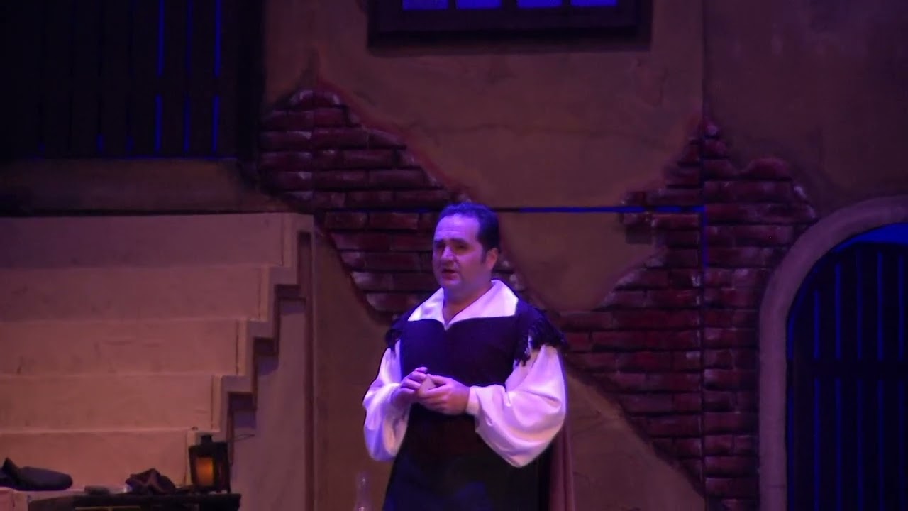 Doru Iftene - La donna e mobile - Rigoletto ( T.N.O.B. Danovski -23.01.2025)