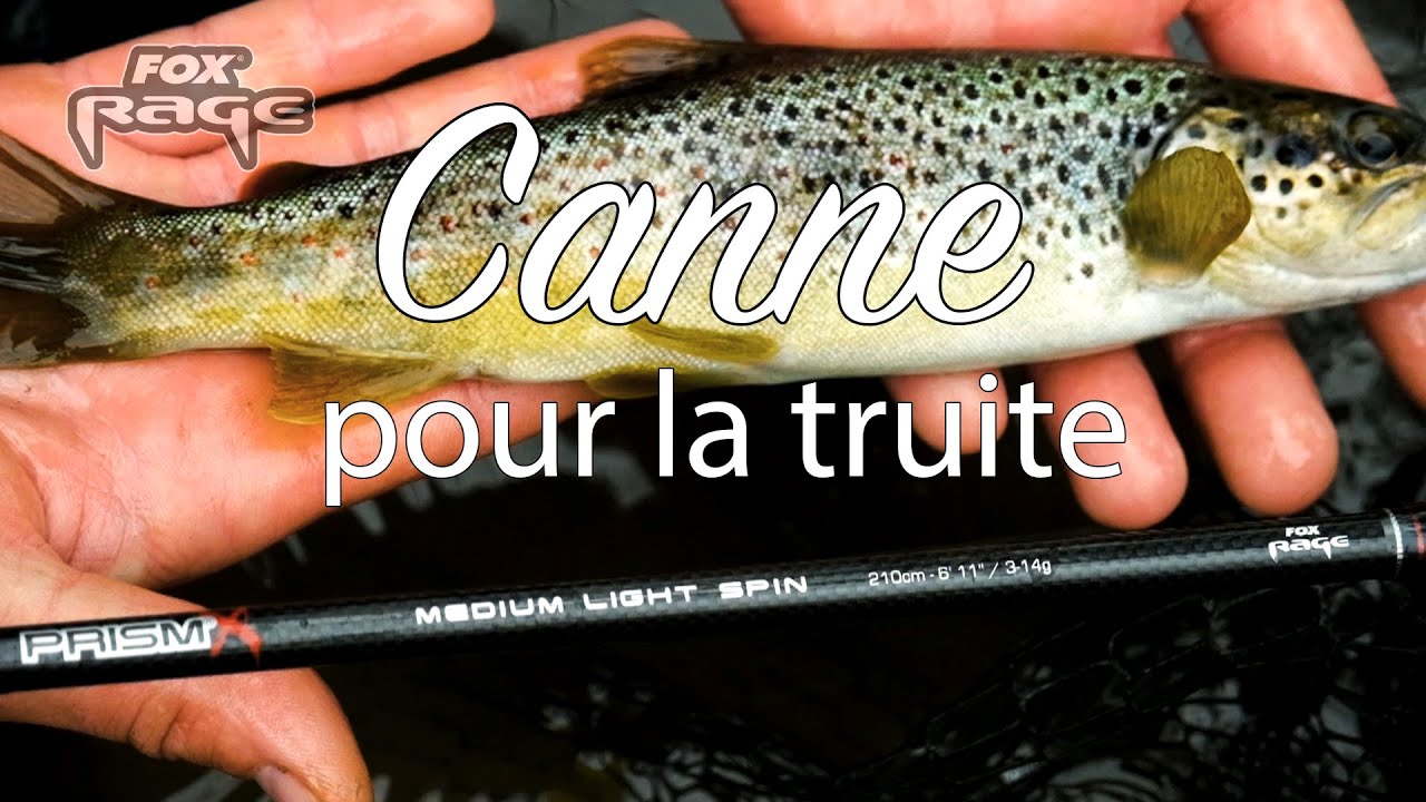 Canne Prism'❌ medium light spin 3/14gr 🎣