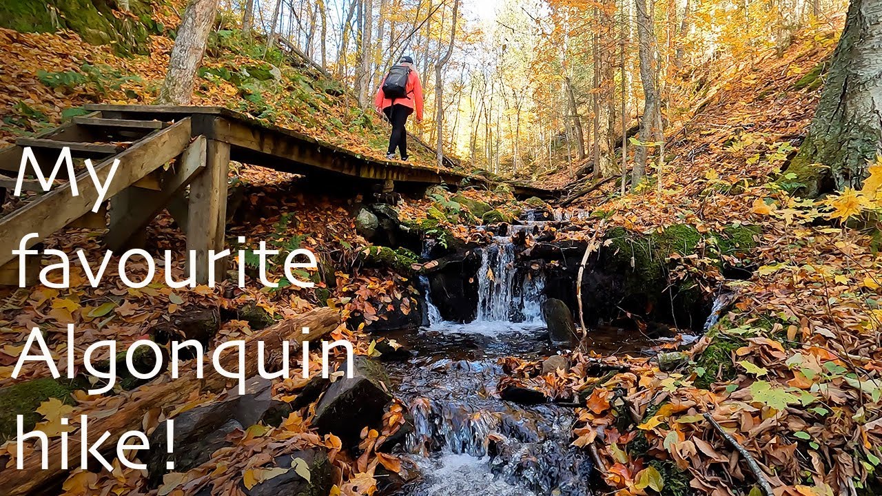 Algonquin Provincial Park, Bat Lake Trail
