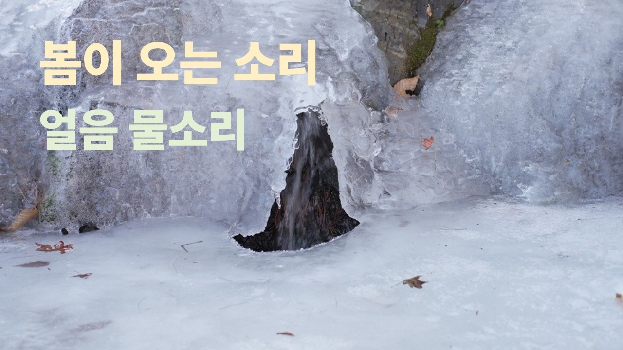 봄이 오는 소리, 작은 계곡의 얼음 물소리 ASMR 🎧The sounds of ice in the stream