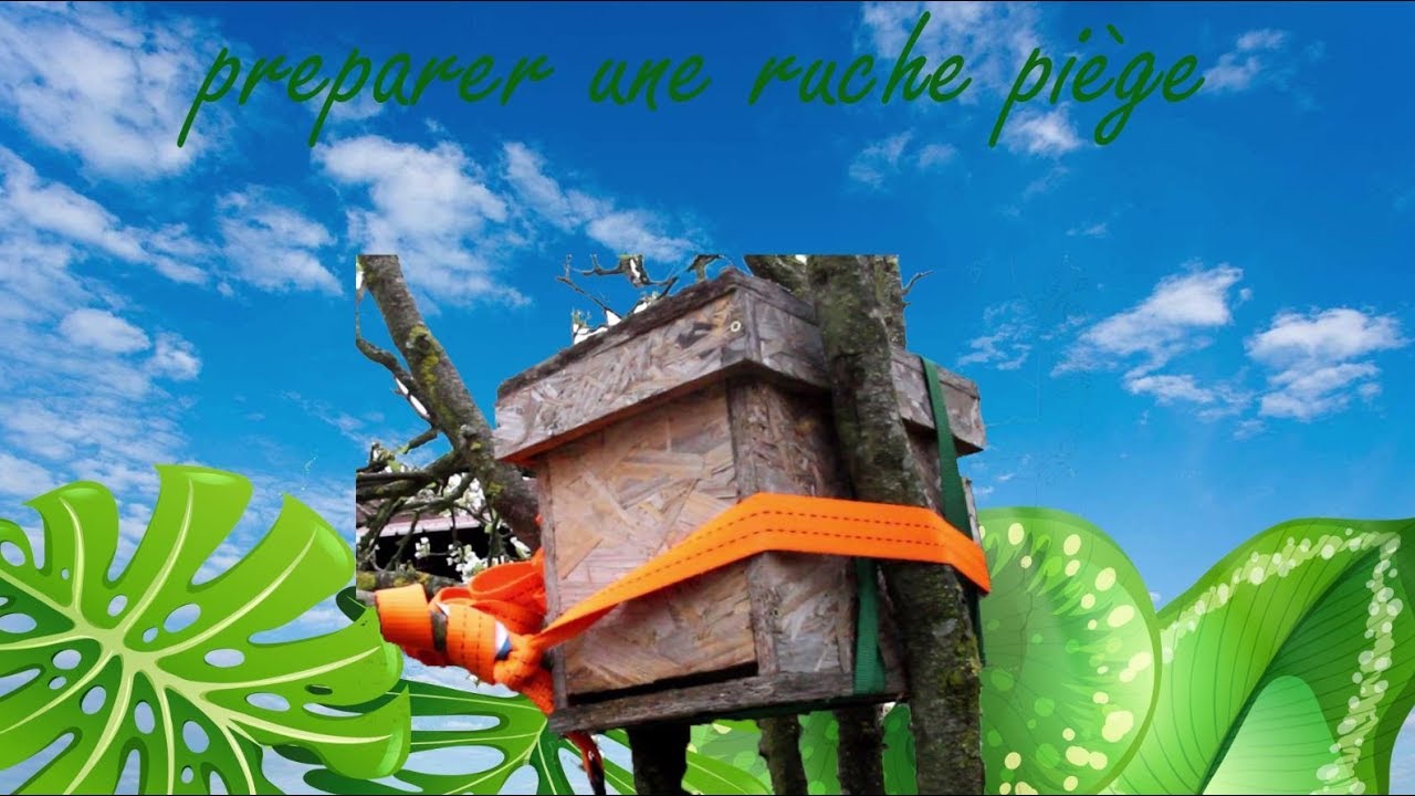 🐝🐝 preparer une ruche piege 🐝🐝