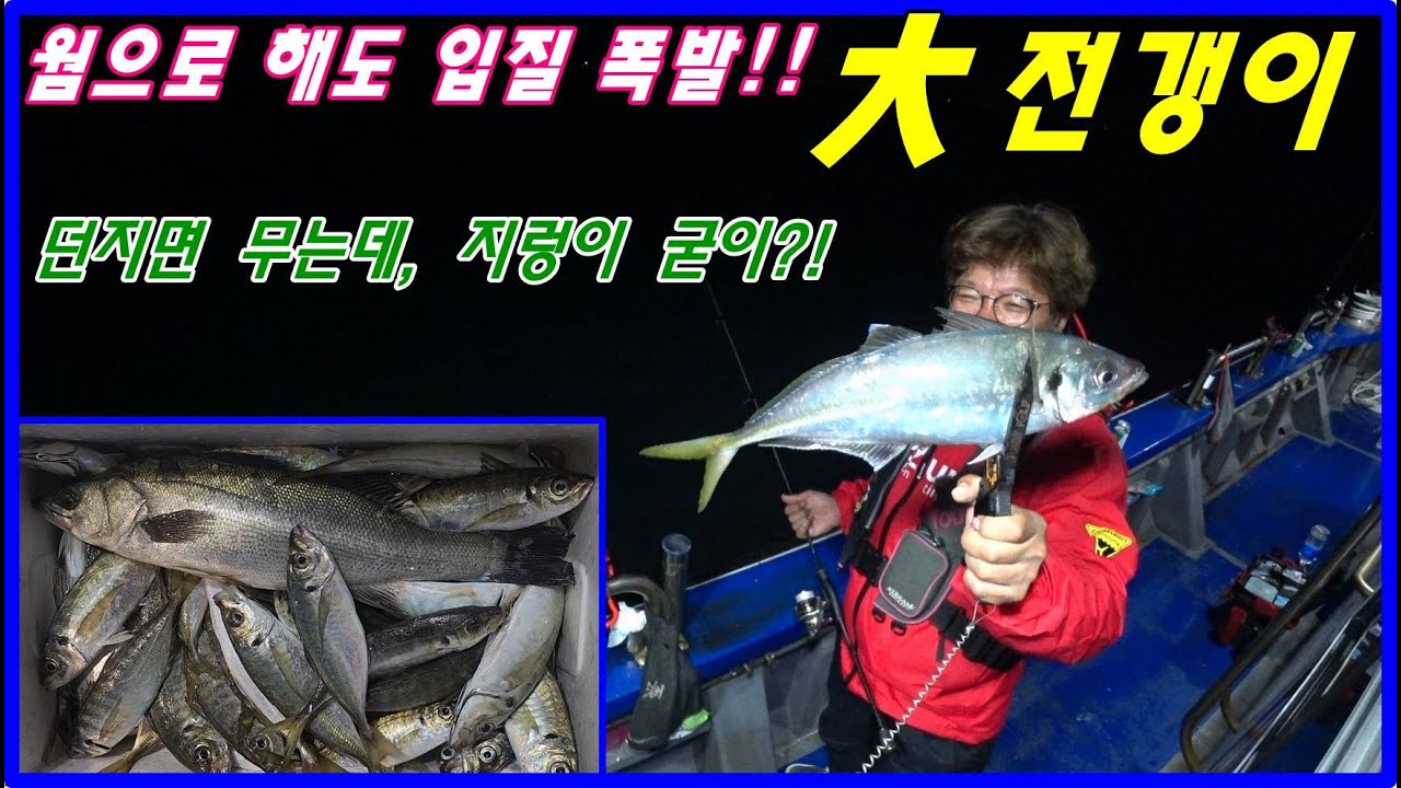 2022 11 29 거제 대전갱이 잡으로 가세요. 장난 아니네요. 손맛 입맛 다 좋습니다.