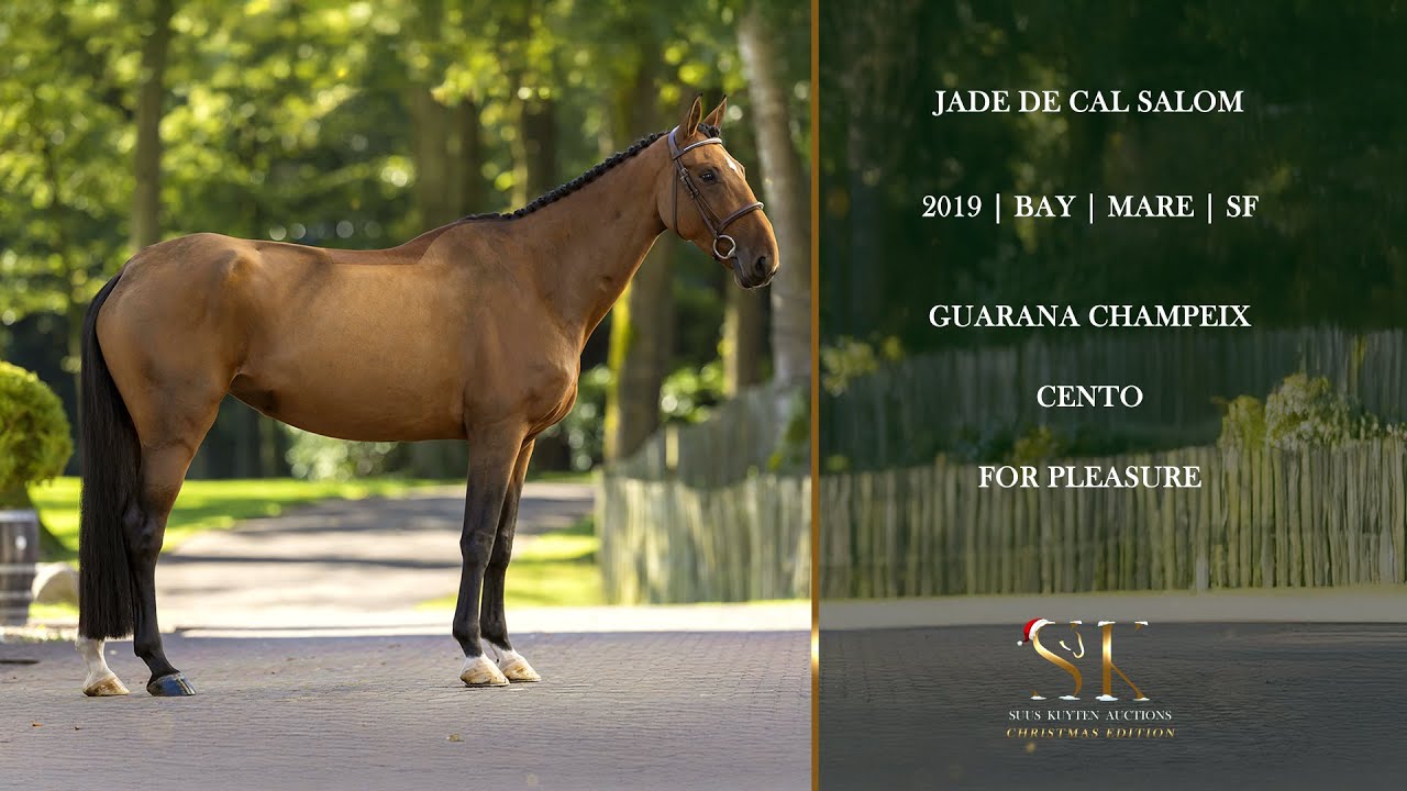 JADE DE CAL SALOM Movements Guarana Champeix x Capitol I)