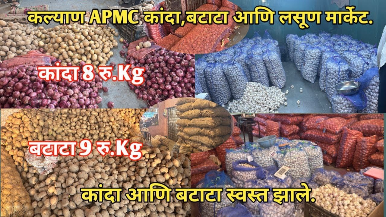कल्याण APMC कांदा,बटाटा आणि लसूण मार्केट | कांदा आणि बटाटा स्वस्त झाले | Wholesale Apmc Market 