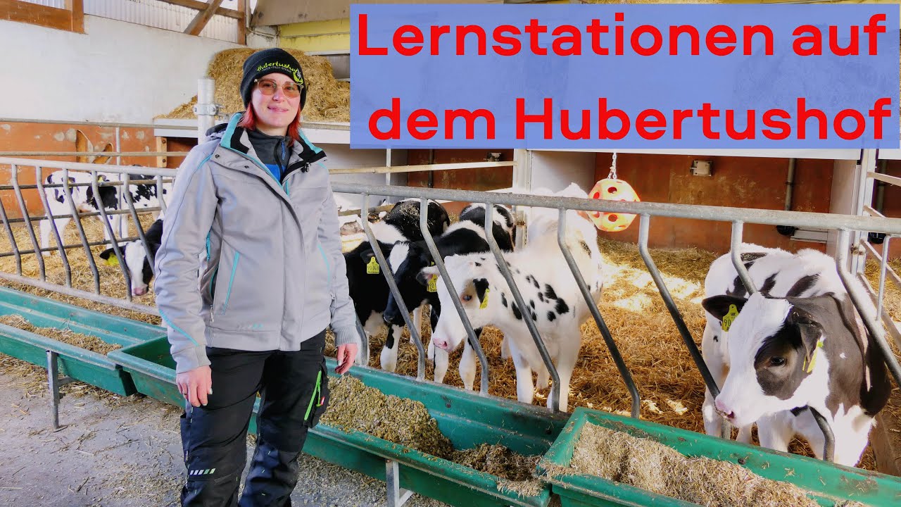 Hof erkunden kinderleicht - Stationenlernen auf einem Milchkuhbetrieb mit Laura