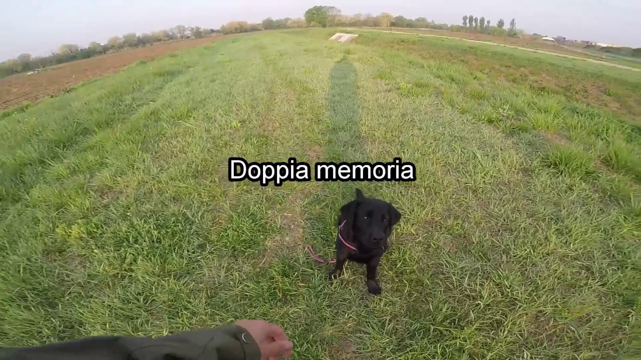 Koa 7 mesi esercizi base riporto