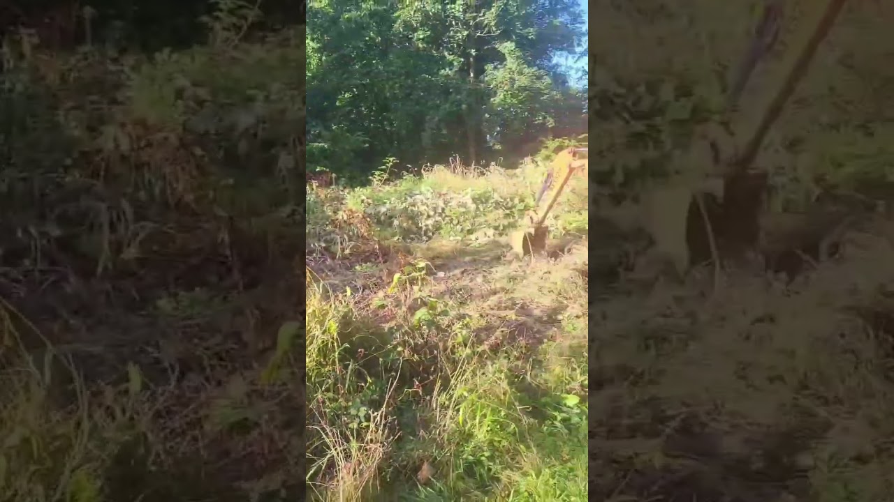 Transforming a garden in one day with my mini digger and driver hire service