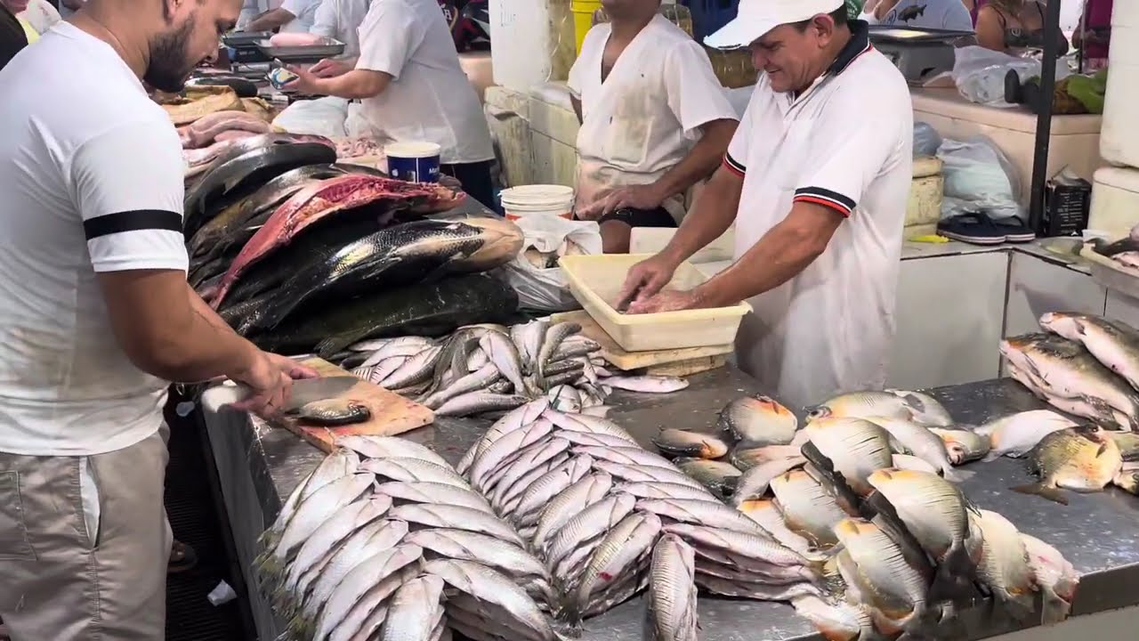 FARTURA DE PEIXES AMAZÔNICOS - São Delícias - MANAUS -AMAZONAS
