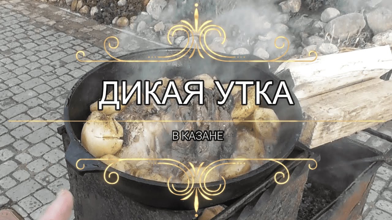 Дикая утка в казане