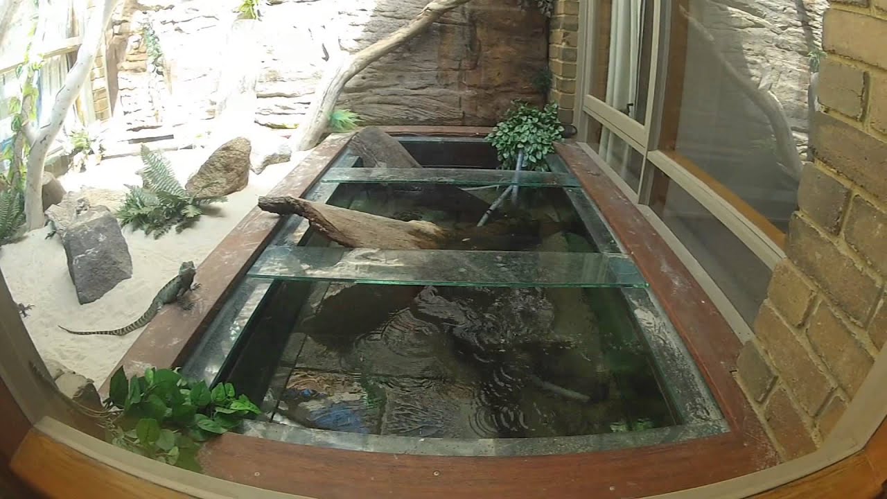 Reptile room update!