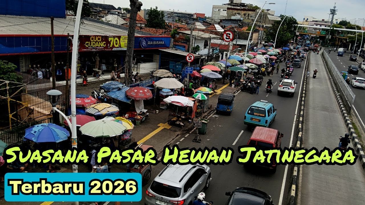Suasana Pasar Hewan Jatinegara Terbaru 2026