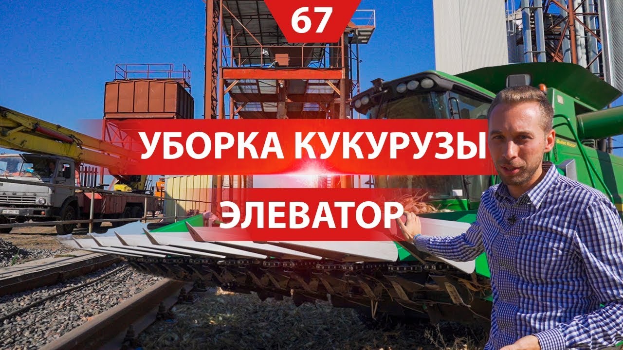 Уборка кукурузы. Жатки, комбайны и перегрузчик. Сушка и очистка зерна на элеваторе