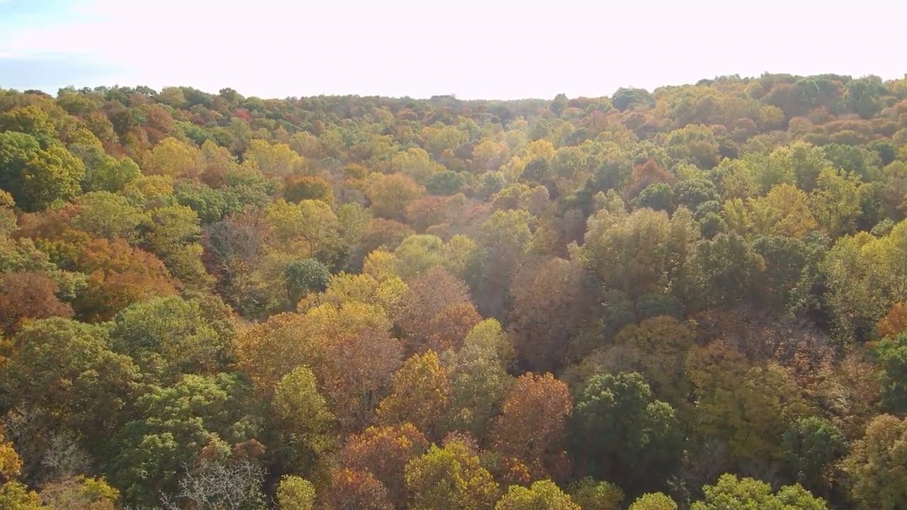 White Oaks Cabins Drone Footage - Taswell Indiana, Near Patoka Lake