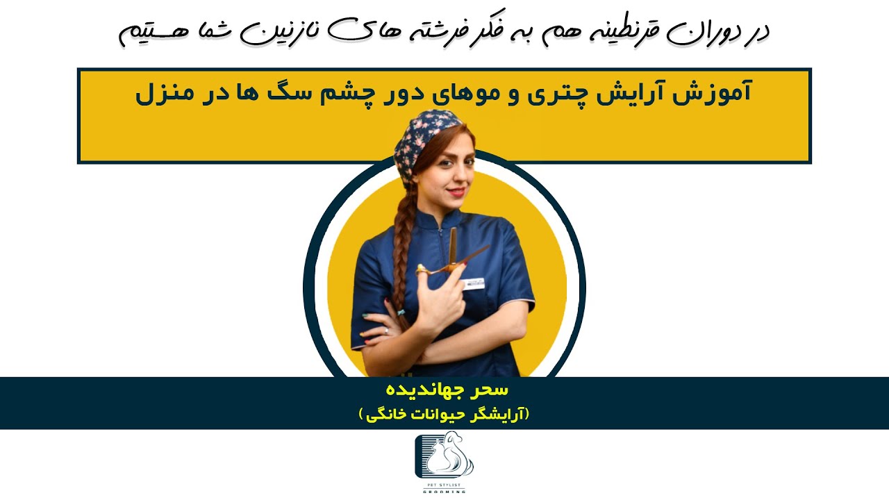 آموزش آرایش کوتاهی چتری و موهای دور چشم سگها در منزل