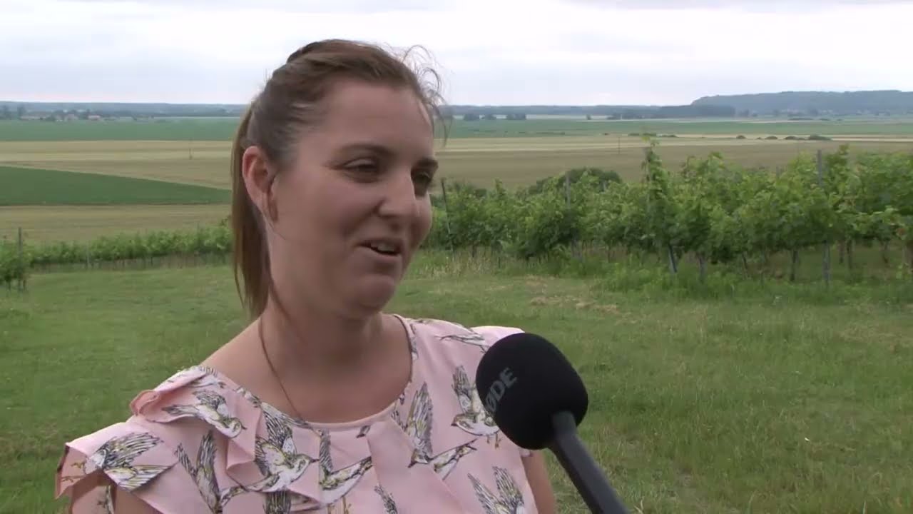 Kostyál Etelka ( Bátaszék) lett az év fiatal gazdája